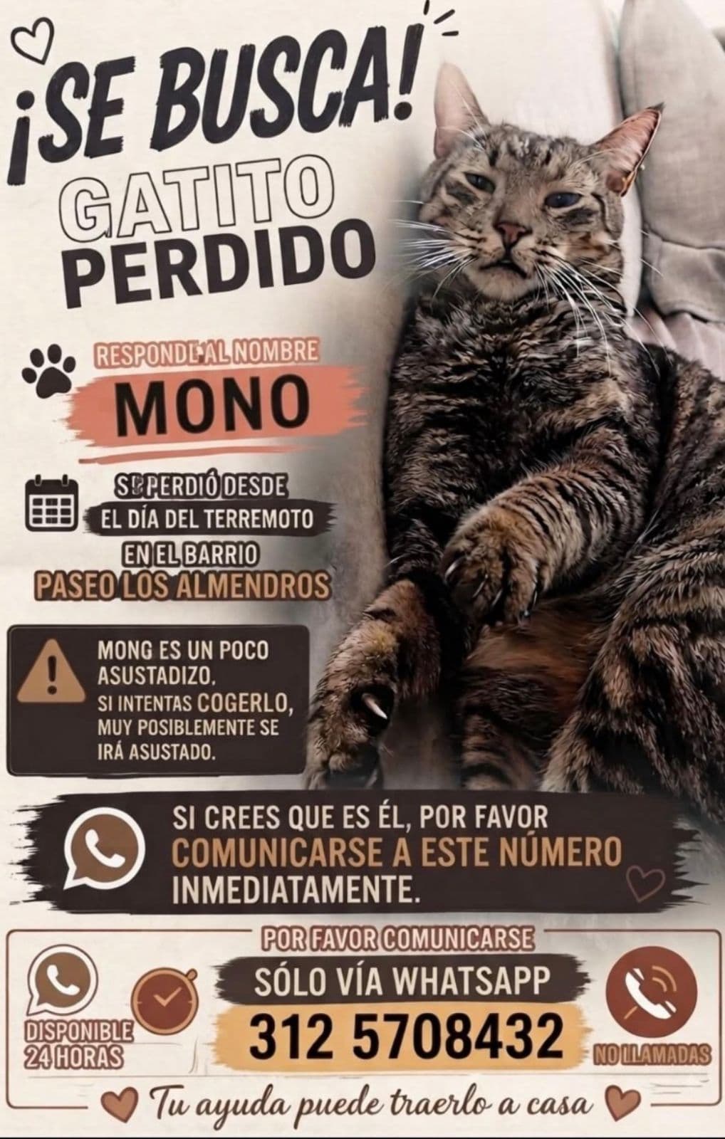 Gato