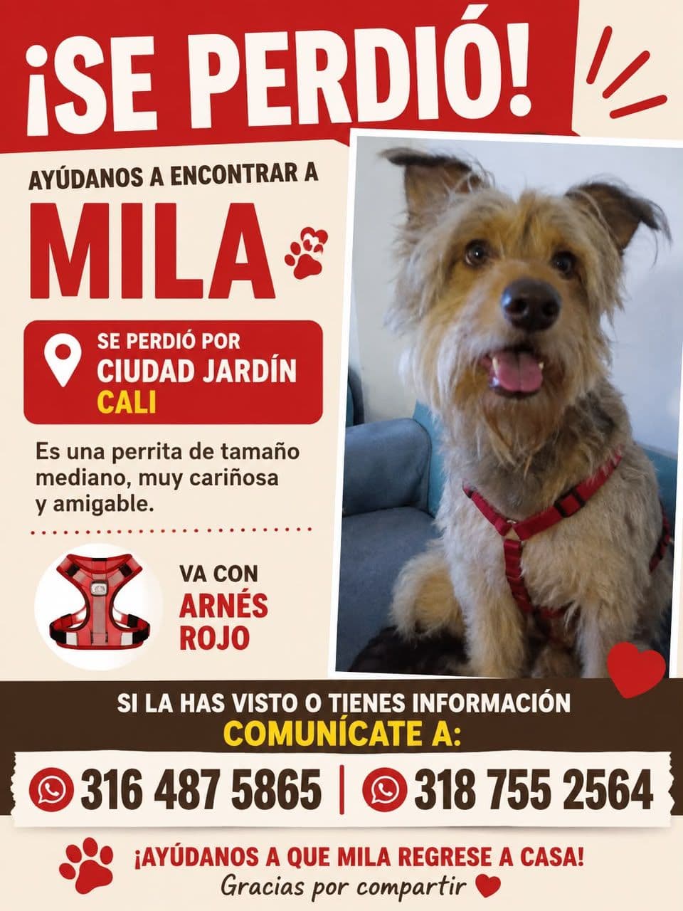 Perro