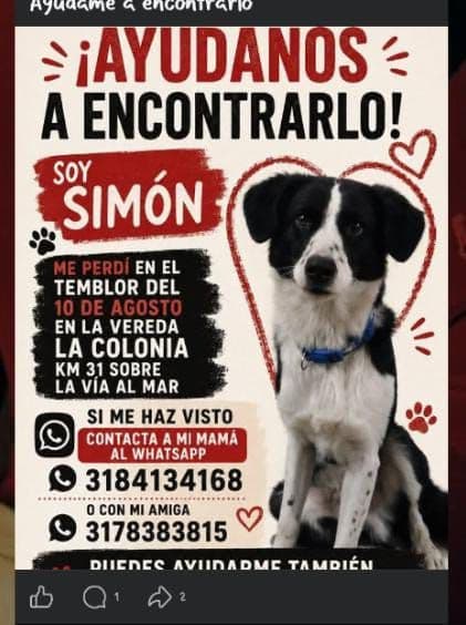 Perro