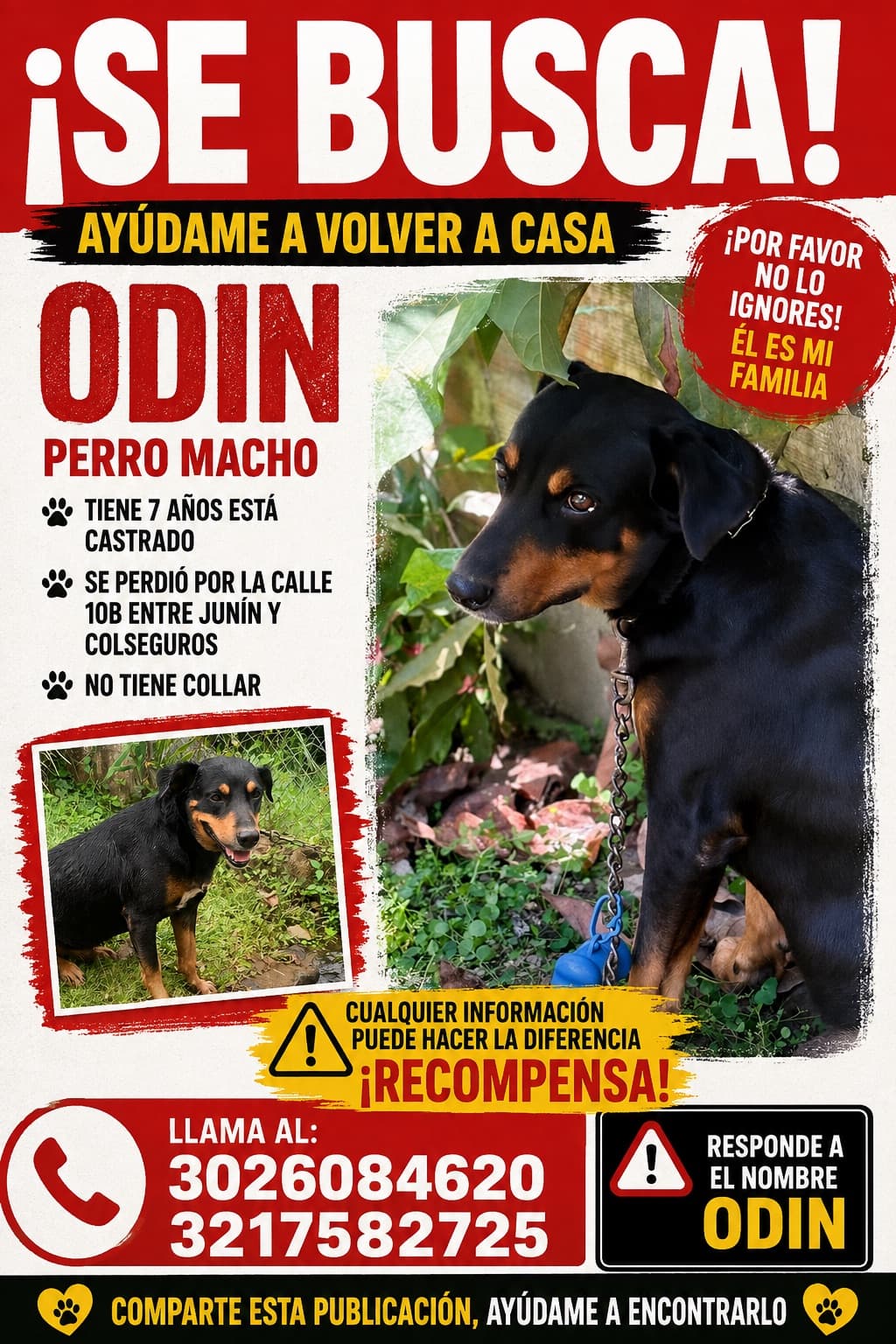 perro
