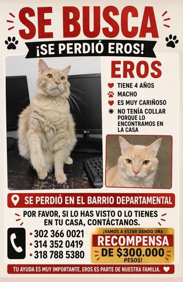 Gato