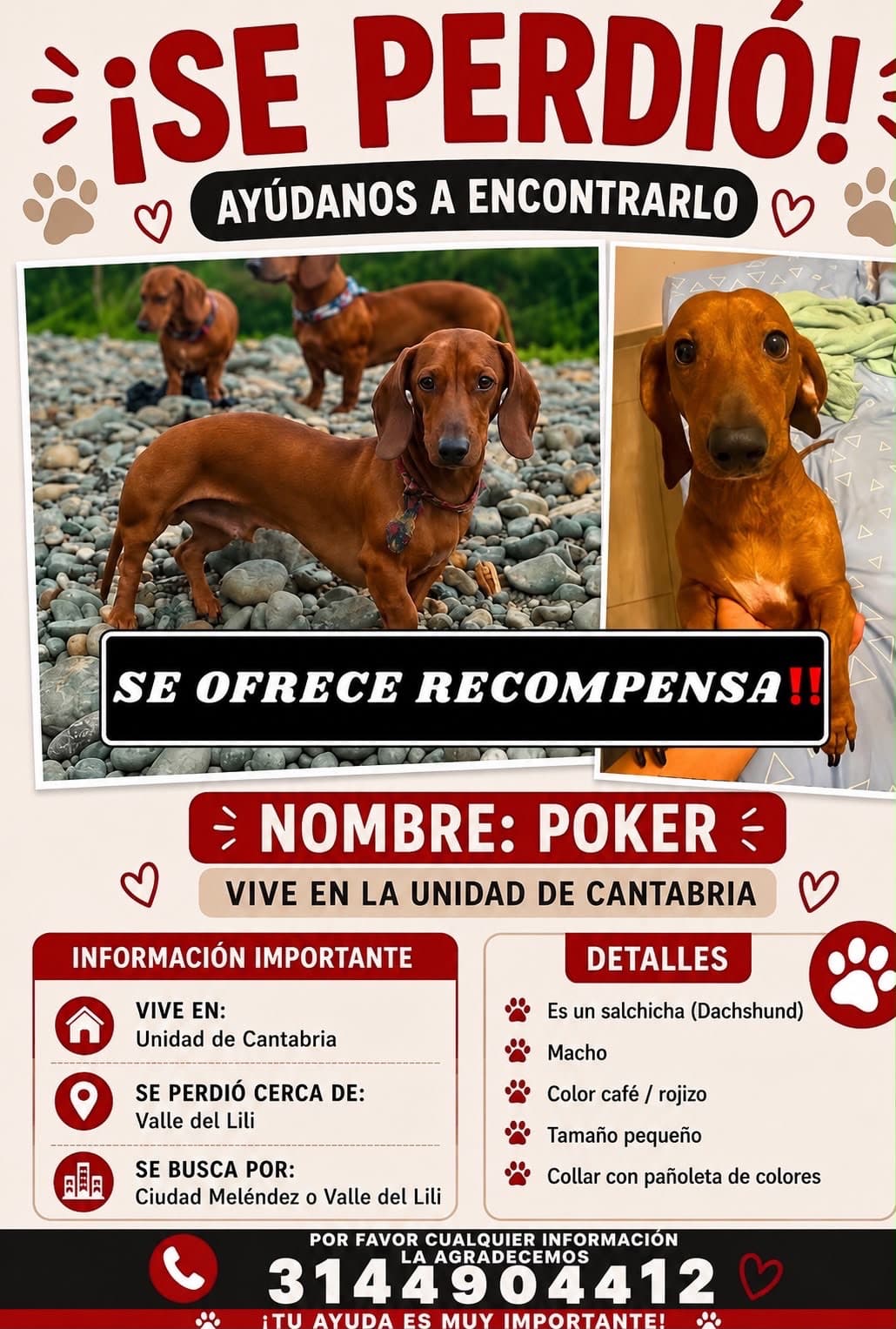 Teckel
